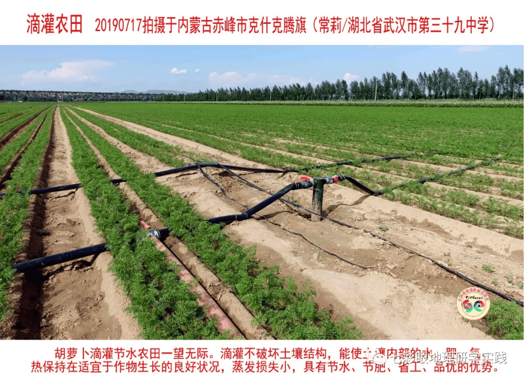 200個地理閱讀和命題的好素材