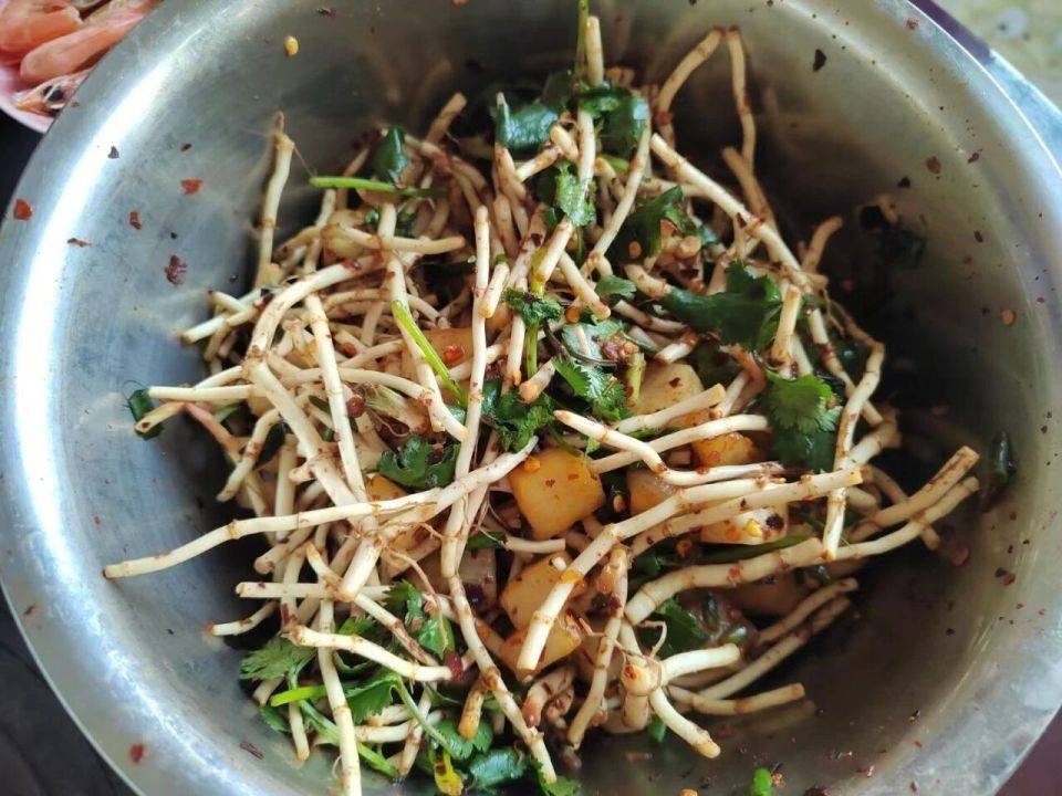 回家過年的年輕人，已經用AI生成反催婚攻略、寫菜譜、拍寫真……