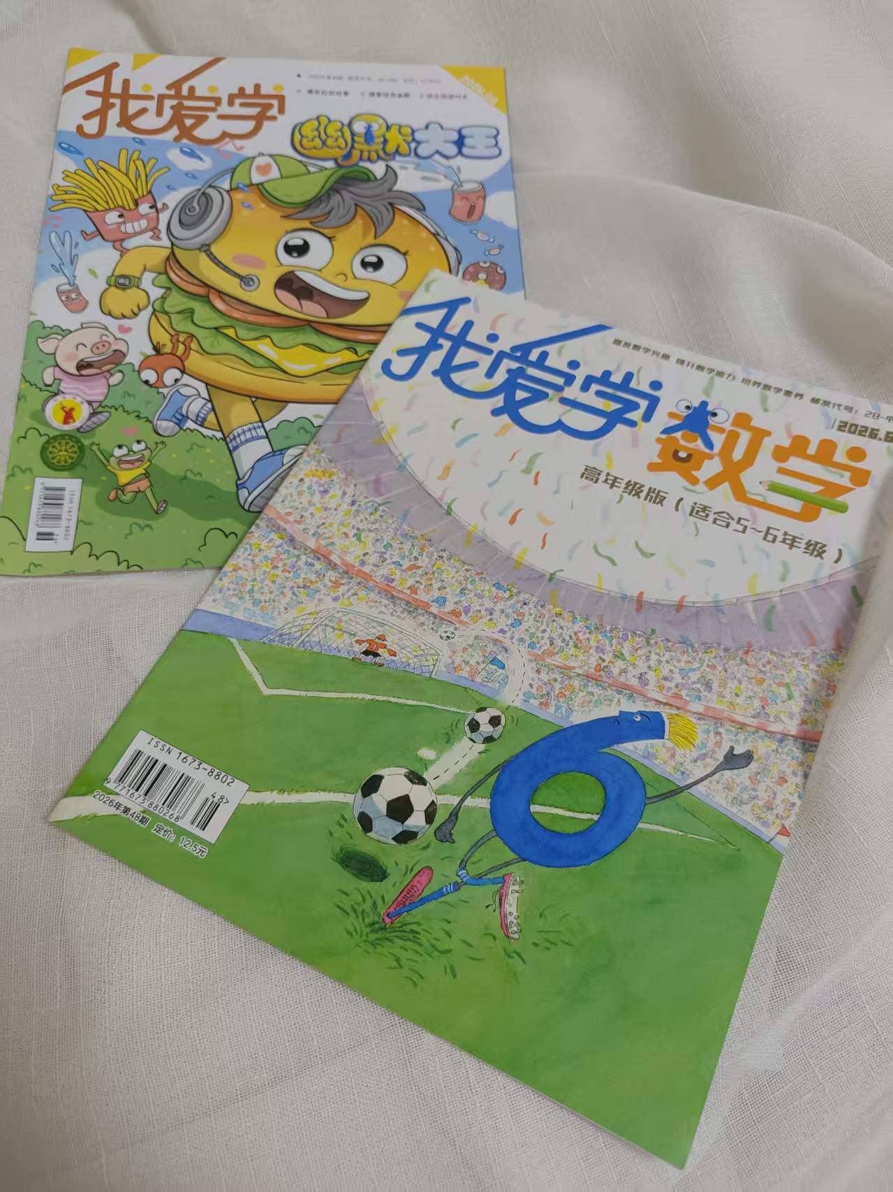 自用分享‖適合小學生的數學課外閱讀
