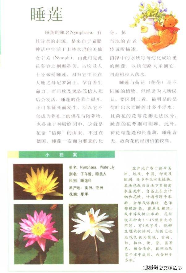 原創管笑笑論文搞混“睡蓮”和“白蓮”，誤認為這一意象來自於莫奈畫