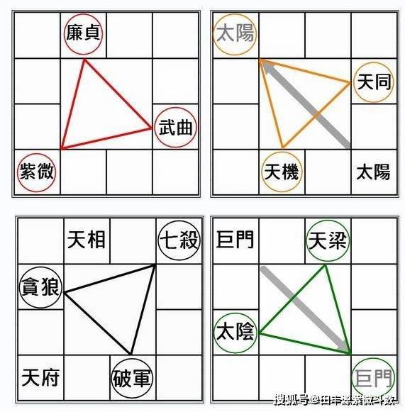 論紫微斗數預測術的精奧（論文）
