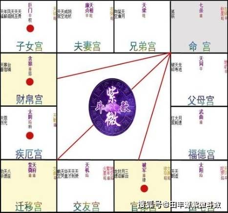 論紫微斗數預測術的精奧（論文）