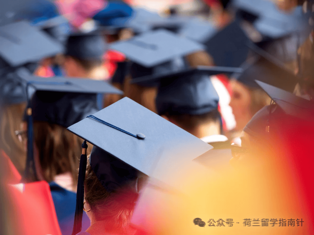 荷蘭留學避坑指南，27年荷蘭留學記得認準這47所教育部認證高校~