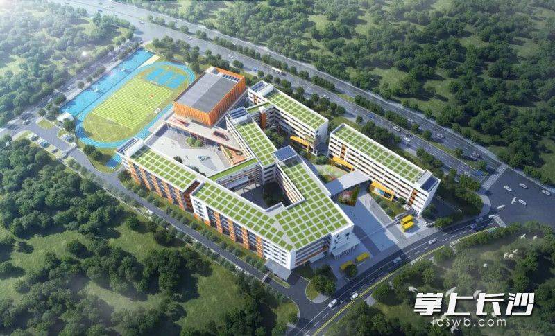 原創規劃48個班！河西這所小學9月開門迎新