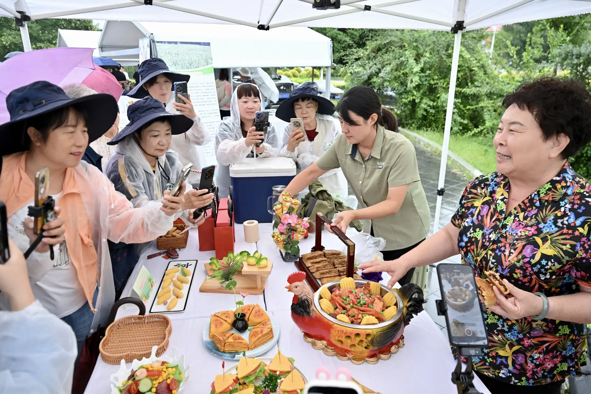 142個玉米品種“打擂臺”，延慶舊縣開啟鮮食玉米旅遊季