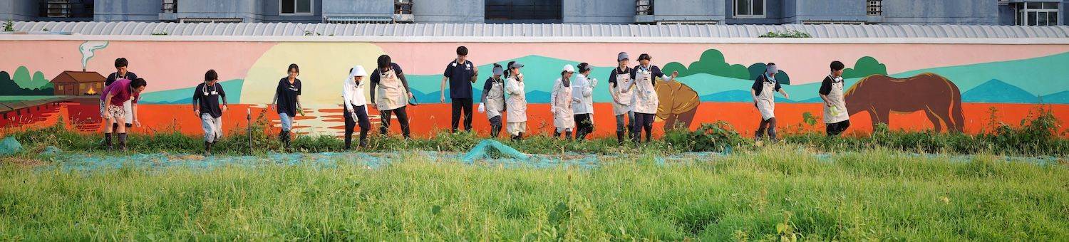 這個暑假，21名大學生在平谷“手搓”394米牆繪