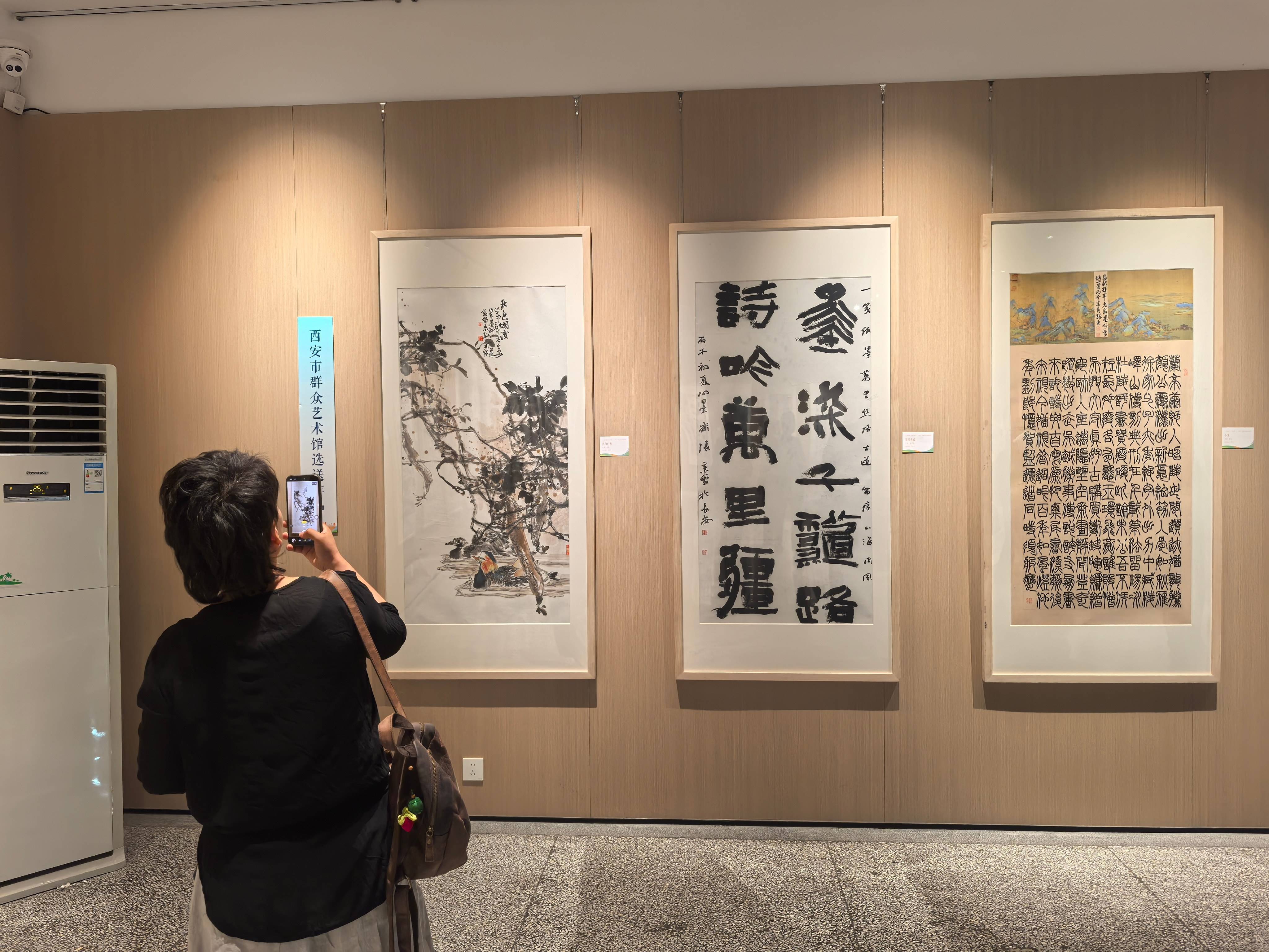 原創六地市文化館美術書法作品巡展西安站開幕