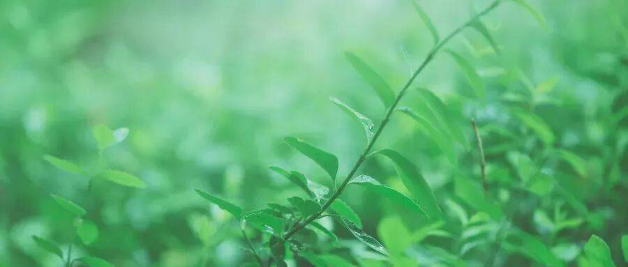致教育：一萬次的灌輸，不如一次真正的喚醒