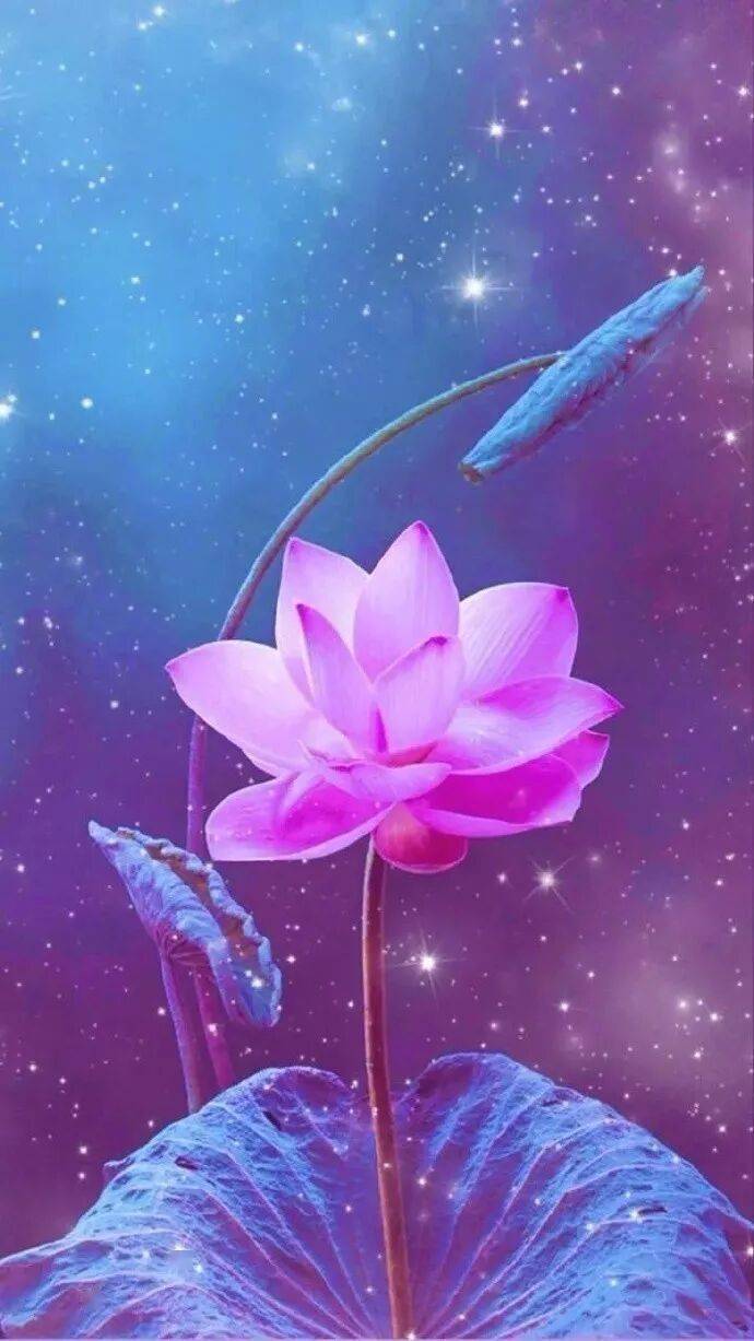 致教育：一萬次的灌輸，不如一次真正的喚醒