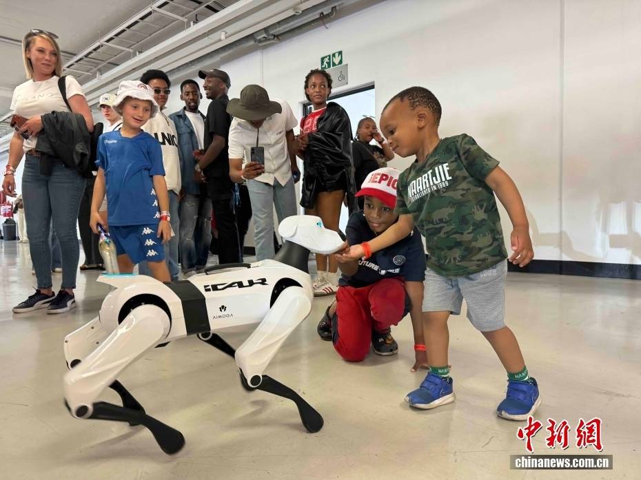 南非約翰內斯堡汽車節：中國汽車品牌受關注