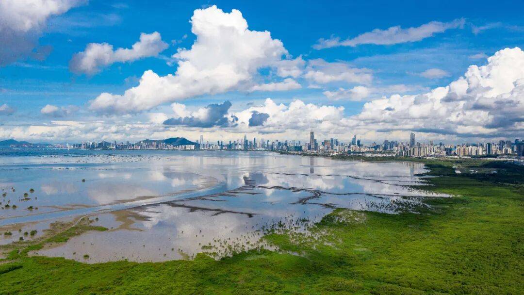 相約深圳 見證奇蹟｜深圳，不止有科技更有山海
