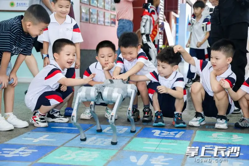 原創小學生與機器人“鬥舞”，開學報到日科技感拉滿