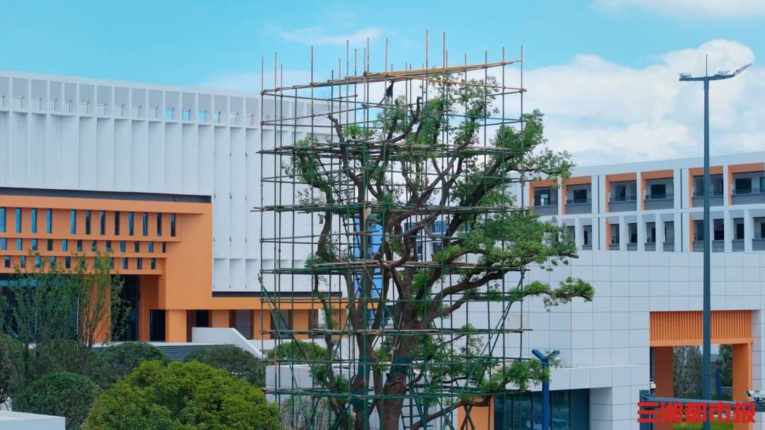 長郡中學“一校兩址”新校區交付 奧體新城片區建設提速｜讀城