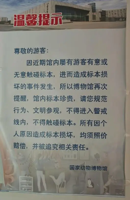 國家動物博物館標本損傷情況曝光！或將追究法律責任