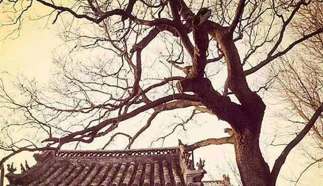 原創清朝人潘倫恩，記錄的3件事奇聞異事！