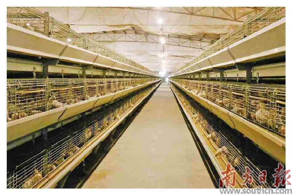 新興畜牧業跑出“加速度”