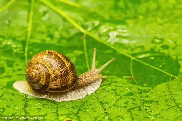 【吉他教學】吉他練習的幾種誤區·吉他練習錯誤方法·吉他自學·自學吉他·吉他教程·吉他教室