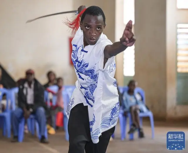 武術丨肯亞第四屆功夫武術錦標賽舉行