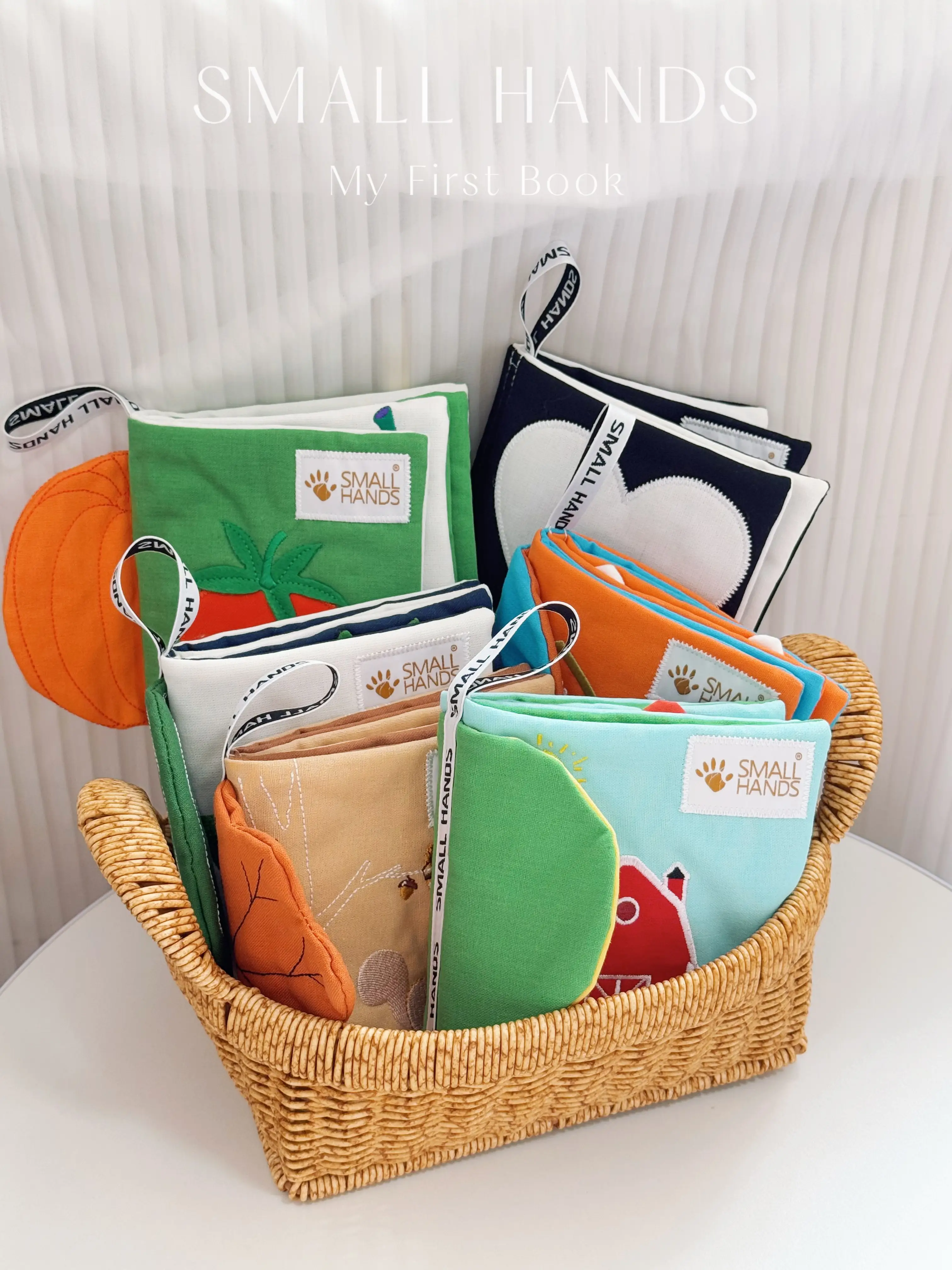 分階早教：讀懂孩子的成長密碼