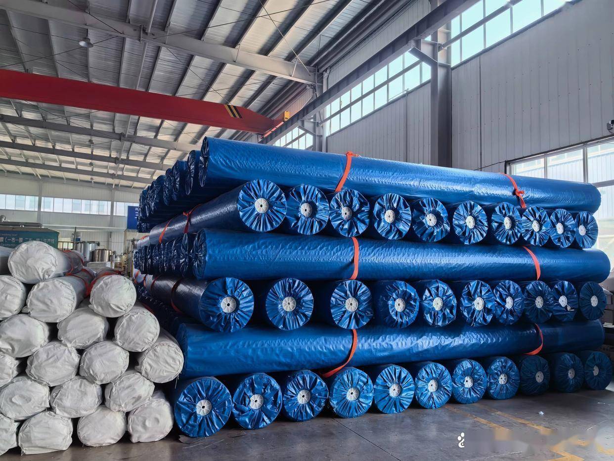 養殖膜防滲膜助力現代養殖環保升級