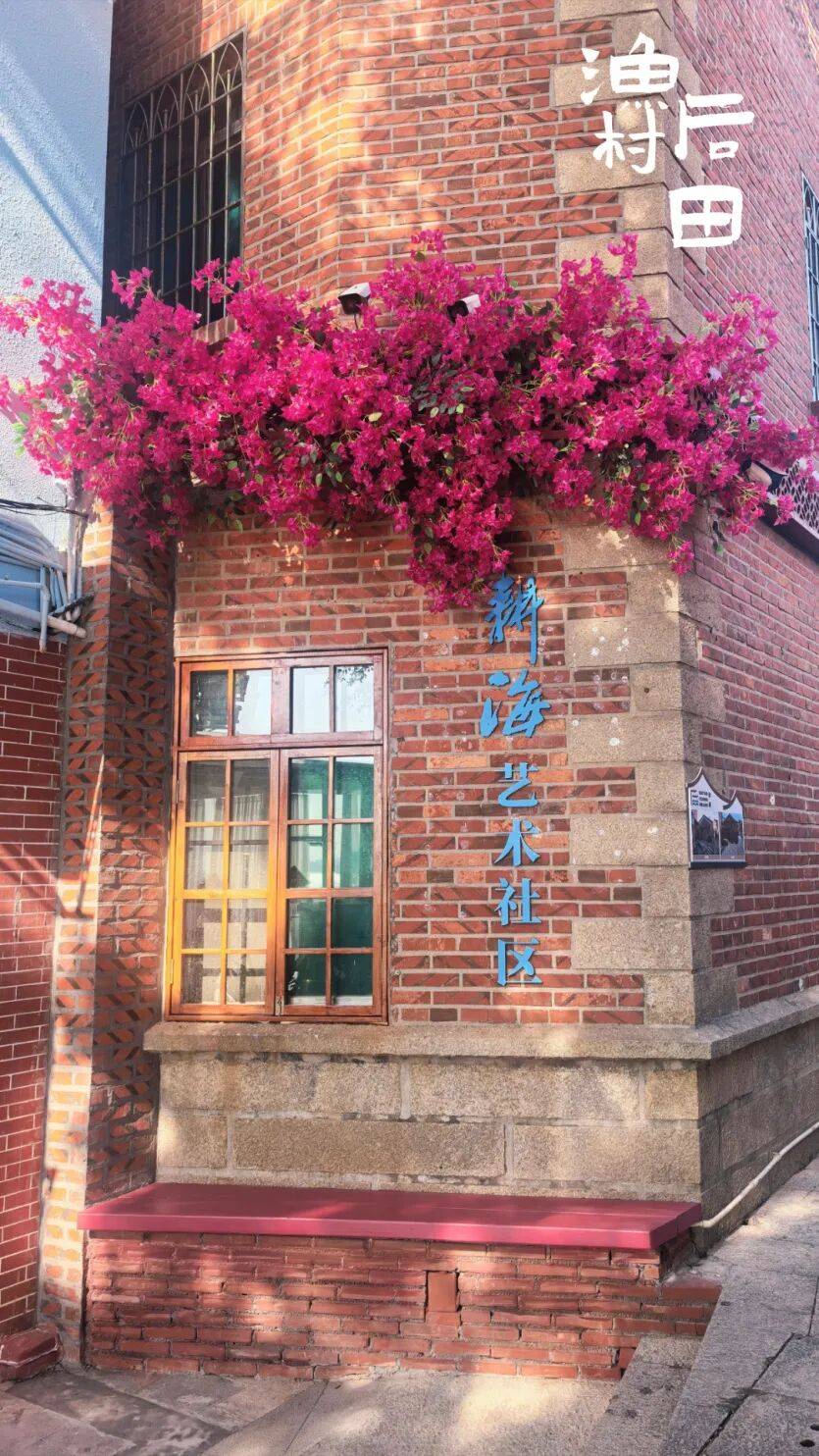 廈門新晉網紅地！藝術村落、海鮮美食完美邂逅→