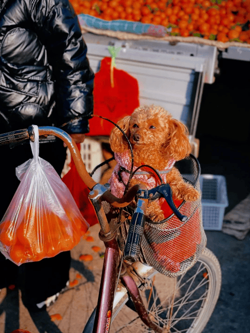 收藏！東營趕集時間地點彙總來了！
