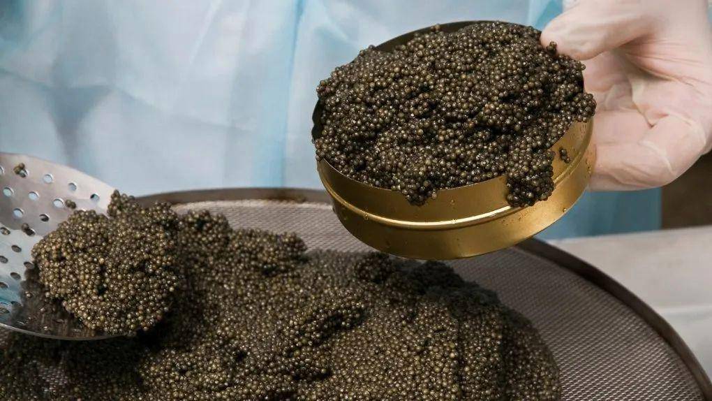 黑龍江 7 種特產美食推薦，物美價廉，讓你在家也能品嚐地道風味