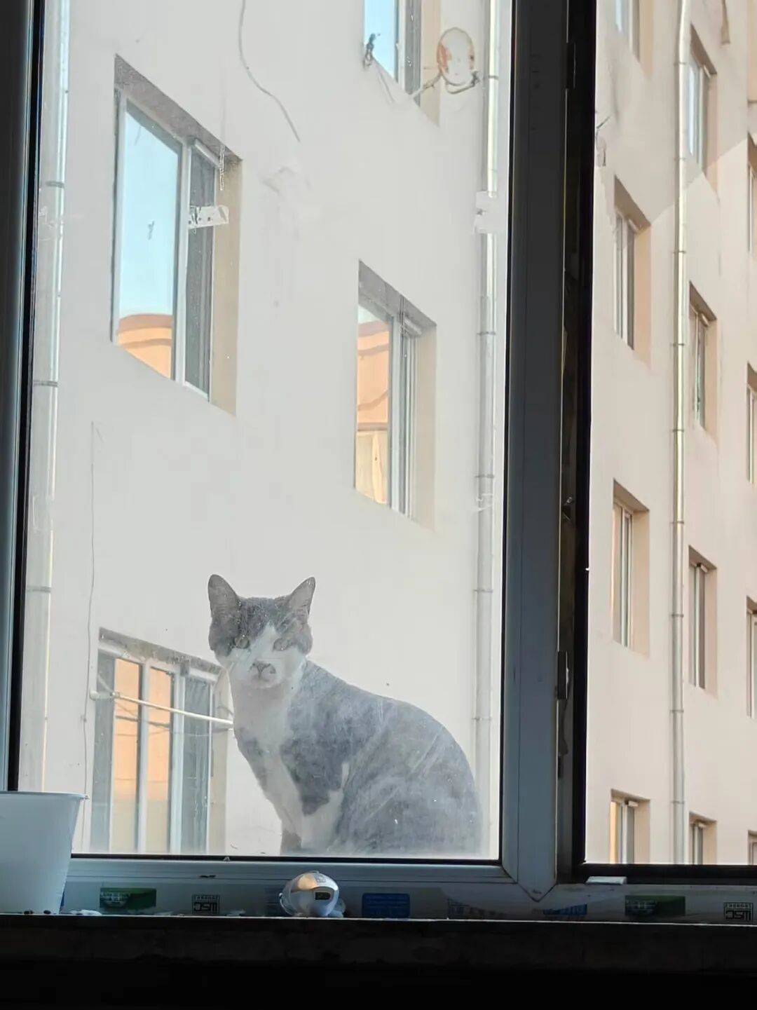 鶴崗「房產一哥」，轉行擦邊背後