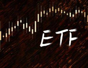 生物醫藥概念午後快速拉昇，中藥50ETF漲1.13%