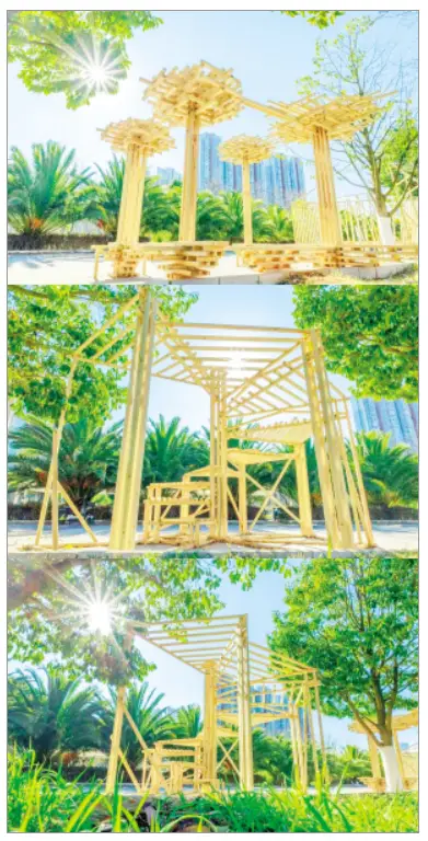 大學新生期末答卷“木”力全開