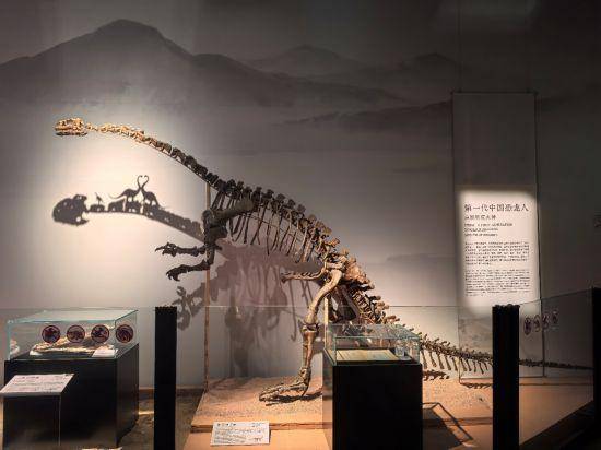 收藏！滬上各大博物館馬年春節觀展攻略