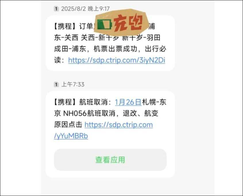 原創航班取消，貨架拿空，滯留日本的中國遊客叫苦，評論區無人同情