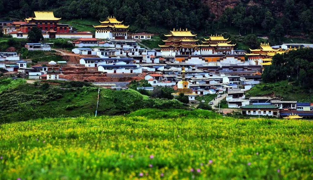 國際旅遊攝影網2026年國內外攝影路線全景指南