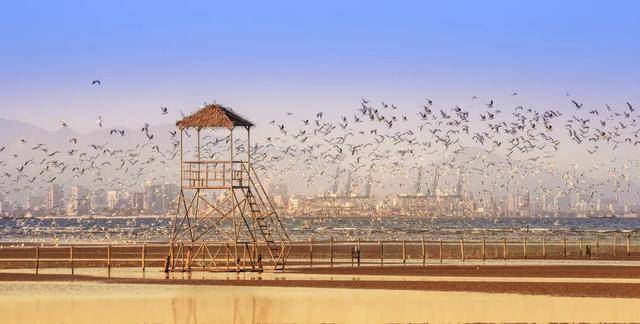 秦皇島北戴河榮登年度“旅遊增速TOP10”，冬天的她美出新高度！