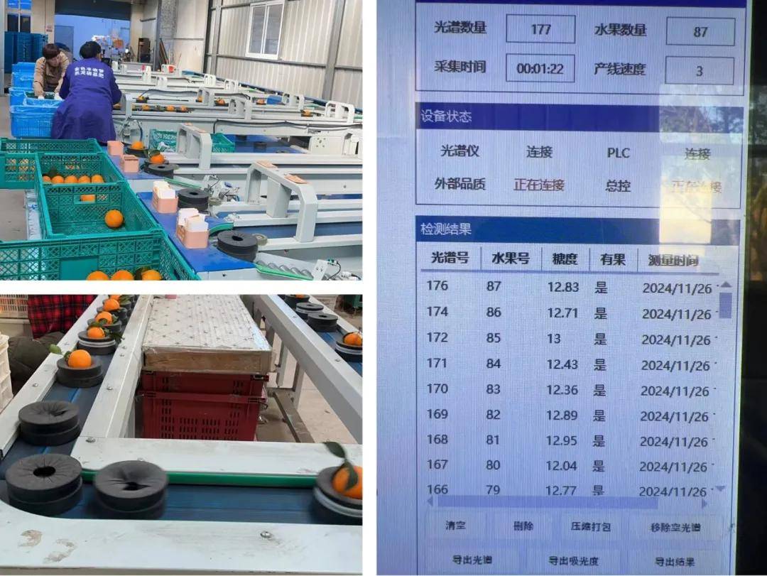 快放假了，美食公司都買些什麼好吃年貨回家？