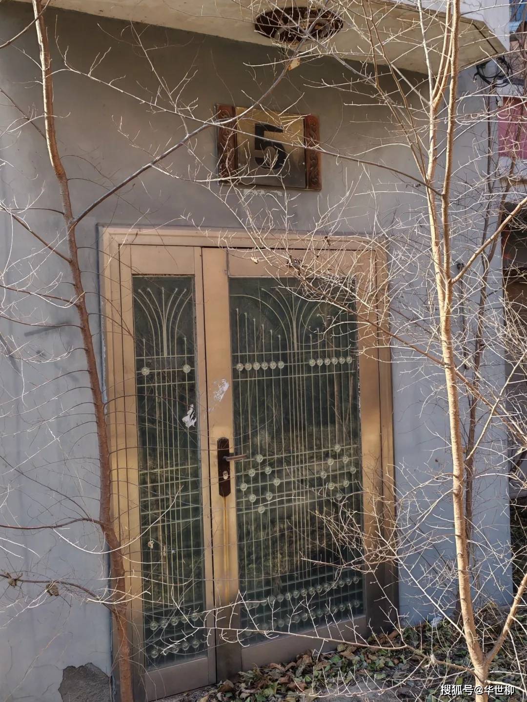 記錄德州：探秘德州曾經最火的旅遊勝地——大雁島，還有東山再起的機會嗎？