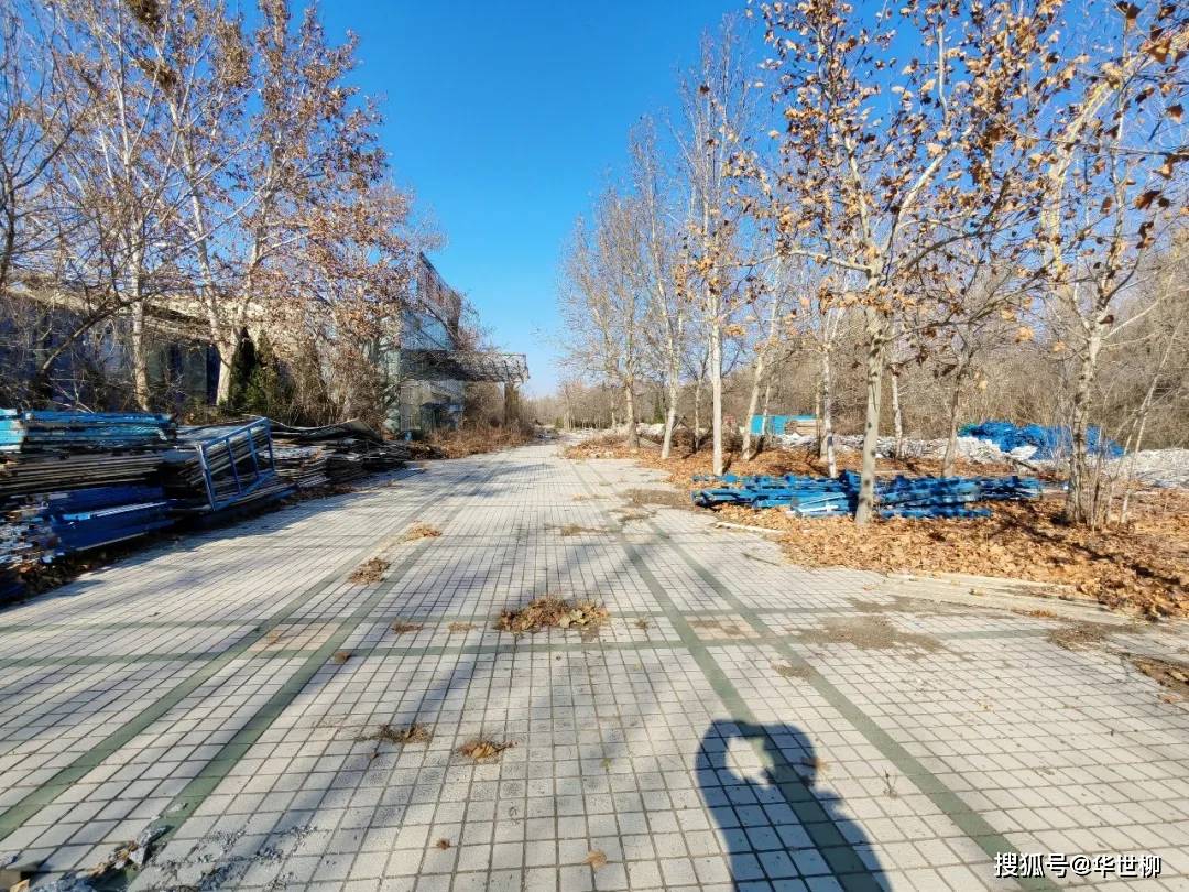 記錄德州：探秘德州曾經最火的旅遊勝地——大雁島，還有東山再起的機會嗎？