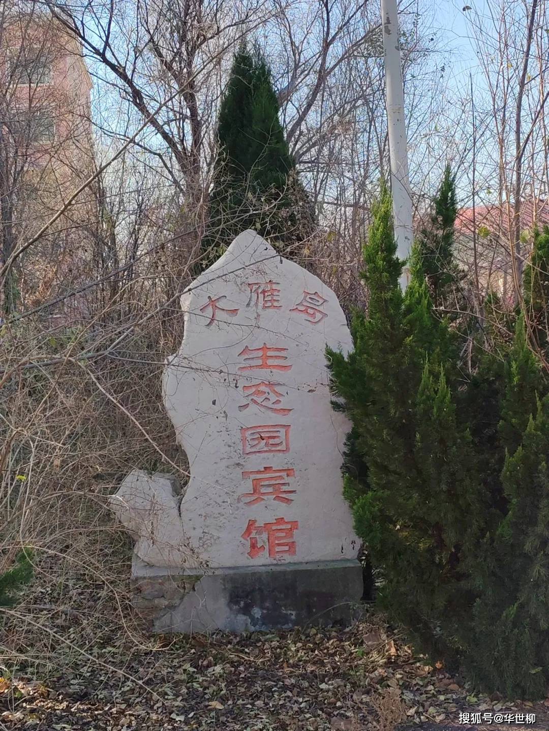 記錄德州：探秘德州曾經最火的旅遊勝地——大雁島，還有東山再起的機會嗎？