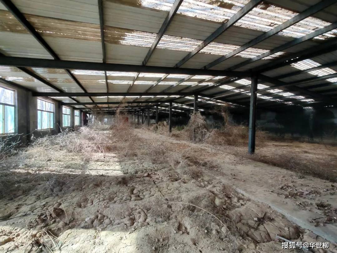 記錄德州：探秘德州曾經最火的旅遊勝地——大雁島，還有東山再起的機會嗎？