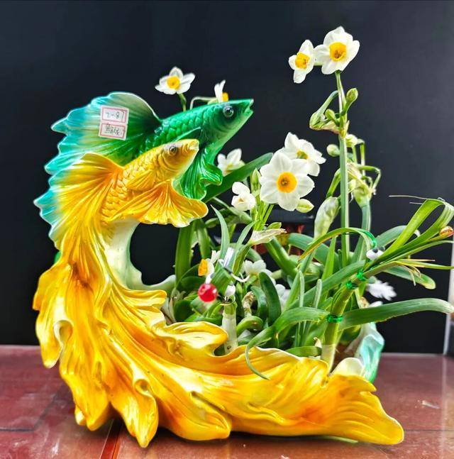 2026年新春水仙花展暨水仙雕刻藝術展亮相濟南公園