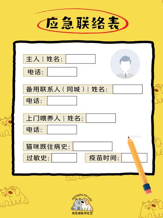 鏟屎官收藏！春節貓咪留守應急清單，對照準備