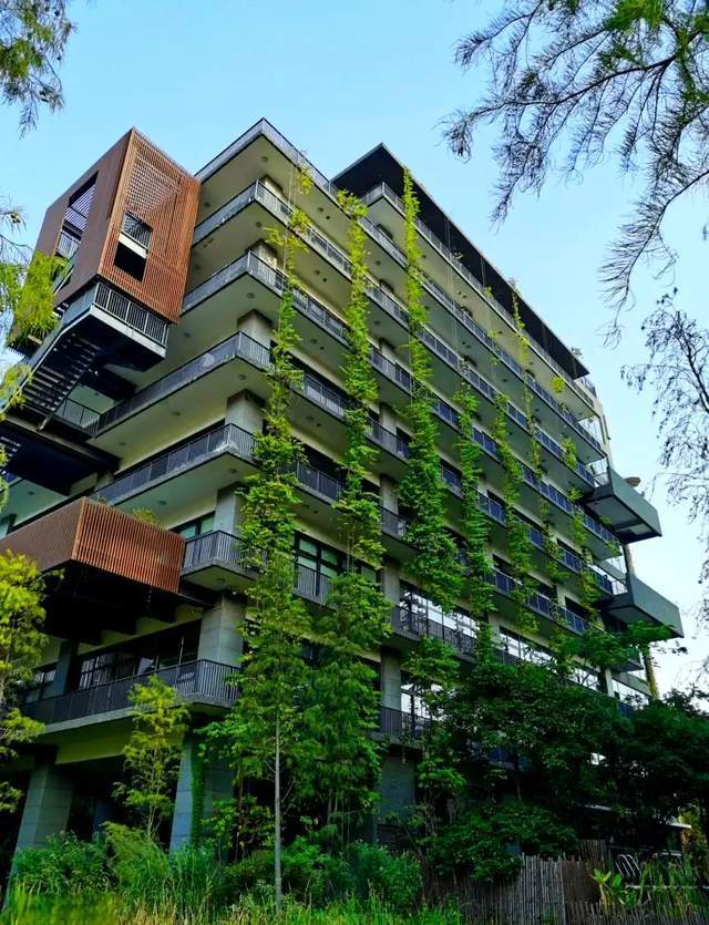 深圳寶安旅遊，這些美景您來打卡過嗎？