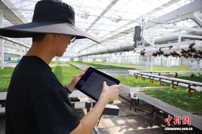 浙江桐鄉：科技育苗助春耕