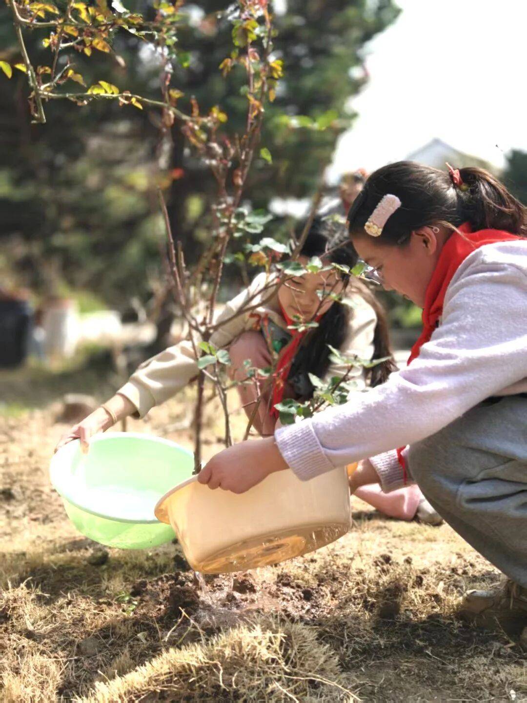 蘇州市山塘中心小學校開展植樹節活動