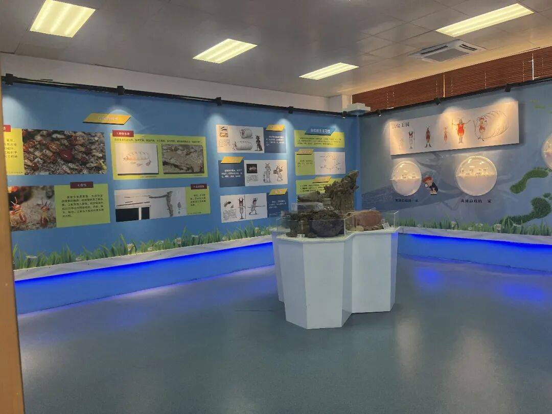 蘆苞水情教育基地開放，免費打卡+互動贏禮，趕緊收藏轉發