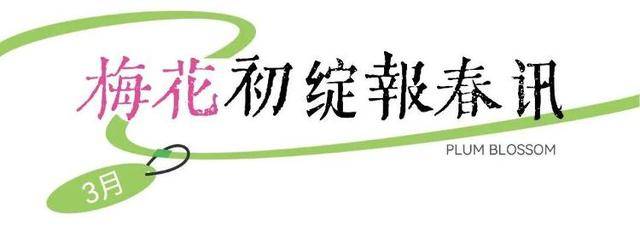 速收藏！棗莊臺兒莊古城春之花影與夜燈，錯過再等一年喲！