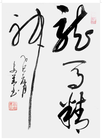 中國書法家協會會員高安善書法鑑賞