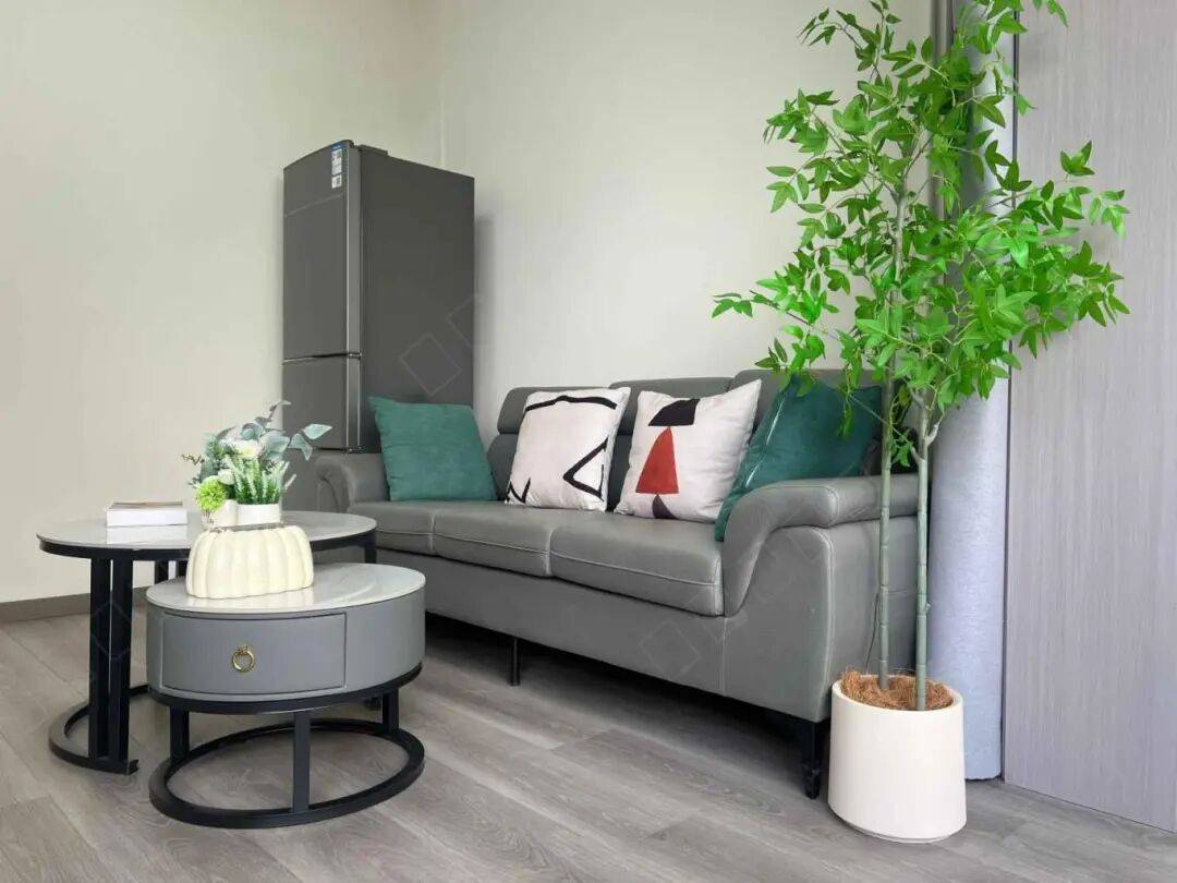 雙地鐵，通勤便利！有套一/二/三戶型！成都柚米寓順城店保租房介紹