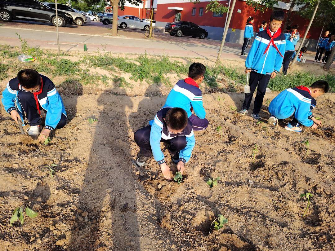 霑化區下窪鎮第一小學以“小切口”做實立德樹人“大文章”