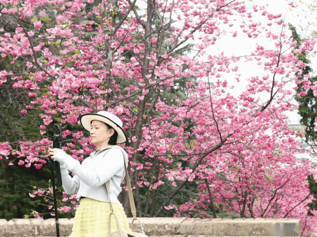 “春假+清明”帶熱春季旅遊 昆明躋身熱門飛行目的地前十